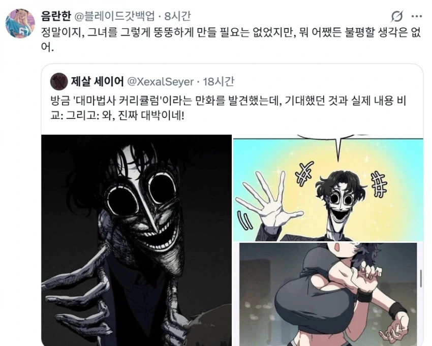 대마법사 커리큘럼...해외 반응...jpg_9.webp