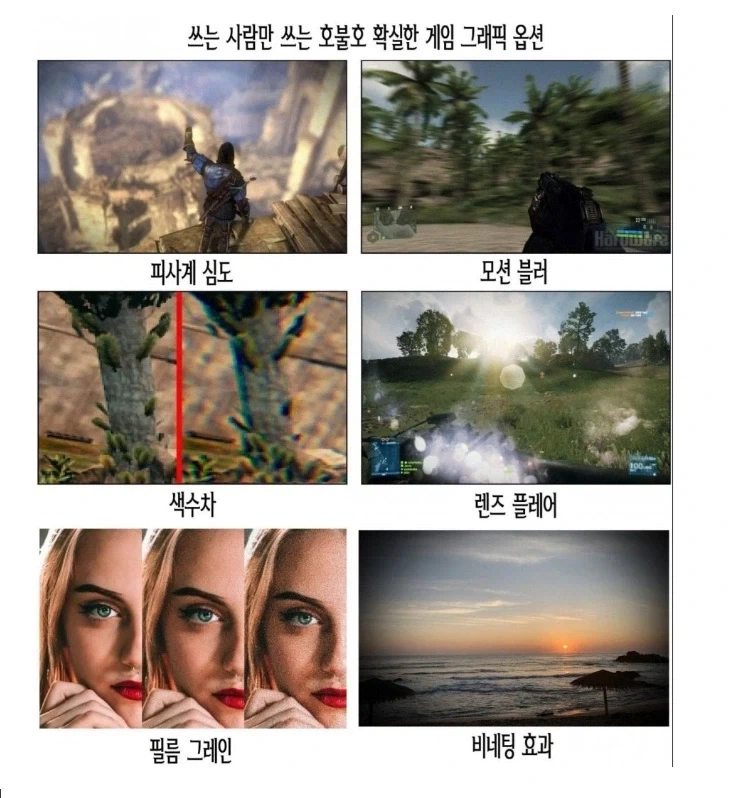 호불호 갈리는 그래픽 옵션_1.webp