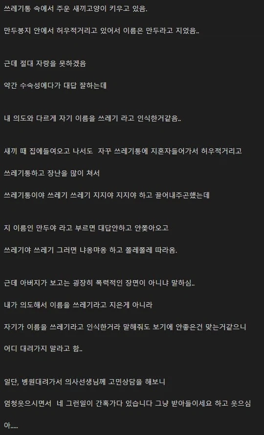 고양이를 쓰레기라고 부르는 사람.jpg_1.webp