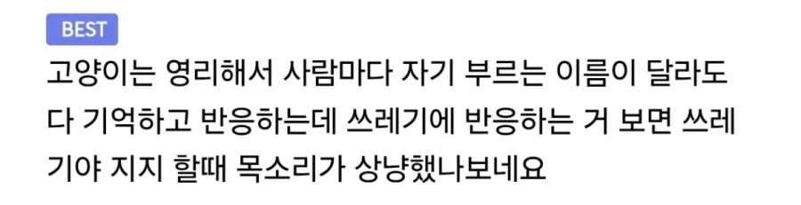 고양이를 쓰레기라고 부르는 사람.jpg_2.webp