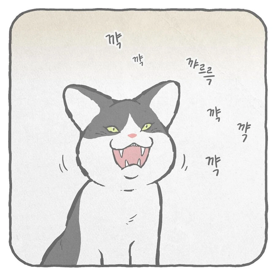 manga_2802076_011.webp