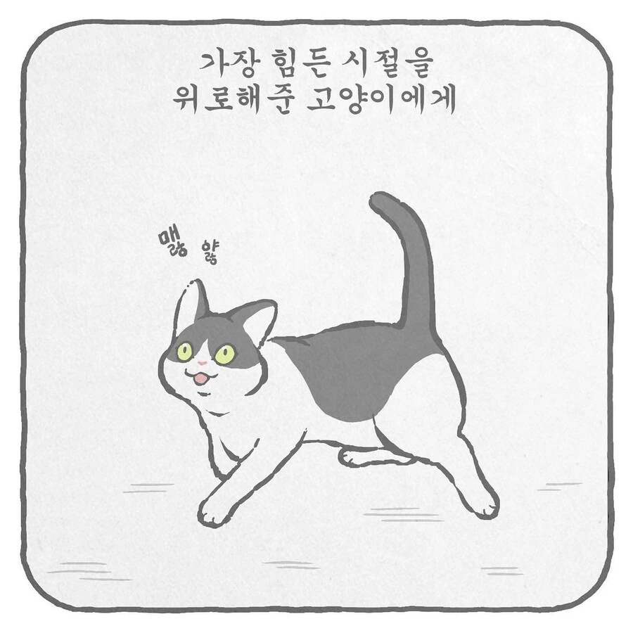 manga_2802076_038.webp