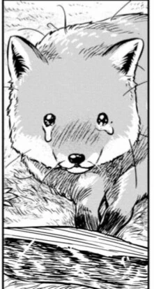 manga_861266_037.webp
