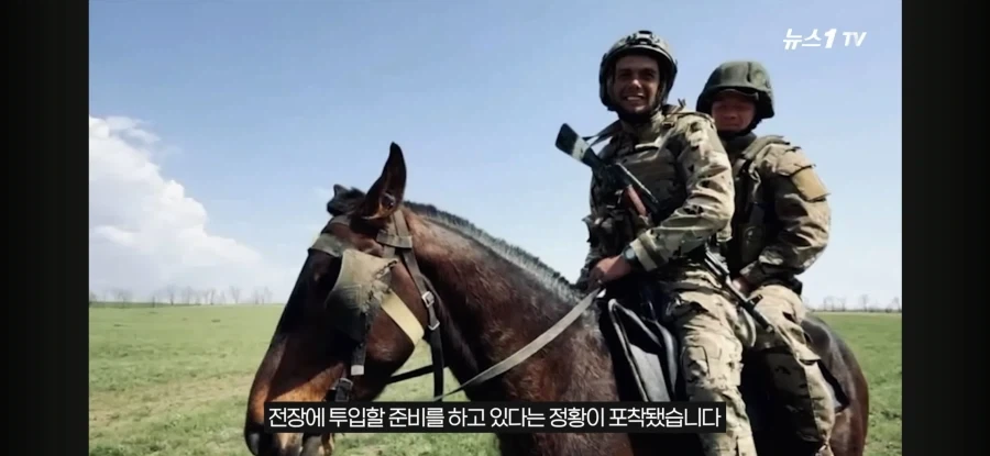 군사 전문가,