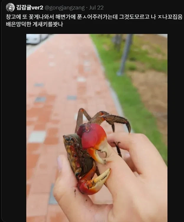 이런 게새끼를 봤나_1.webp