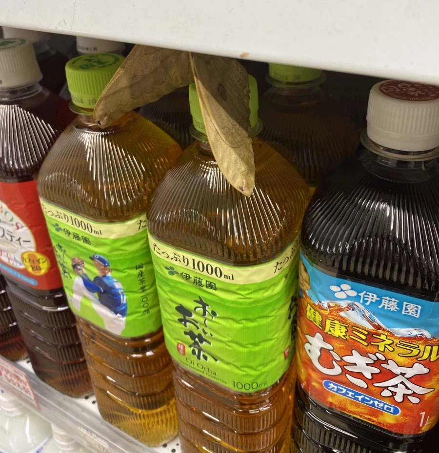 일본 마트에서 찍힌 악랄한 함정 매대_1.webp