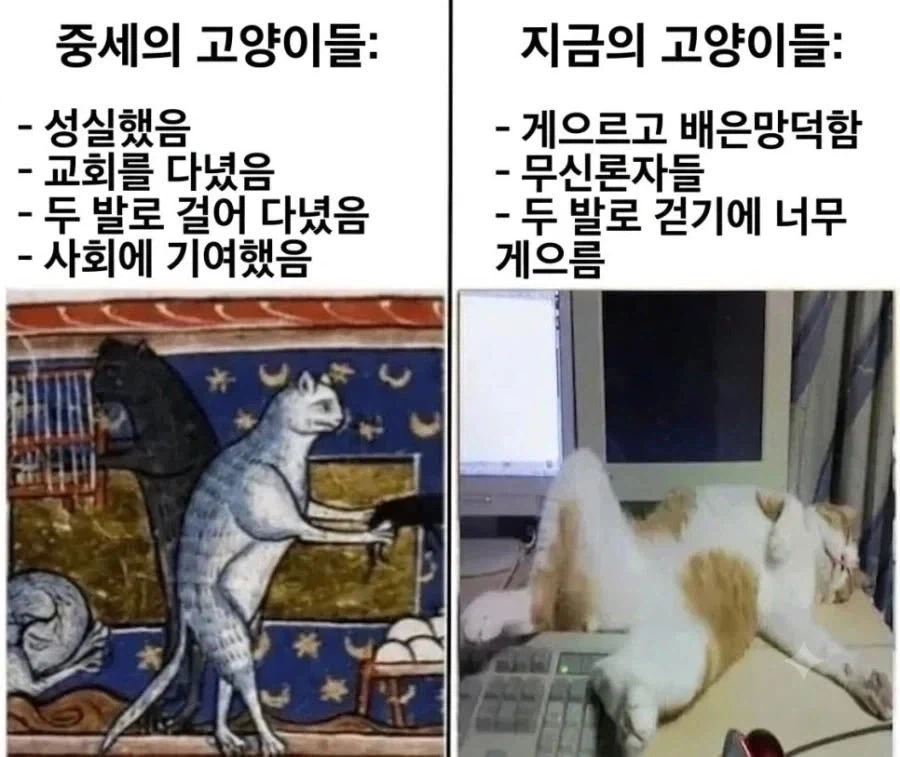시간이 흐를 수록 타락과 방종이 넘쳐남_1.webp