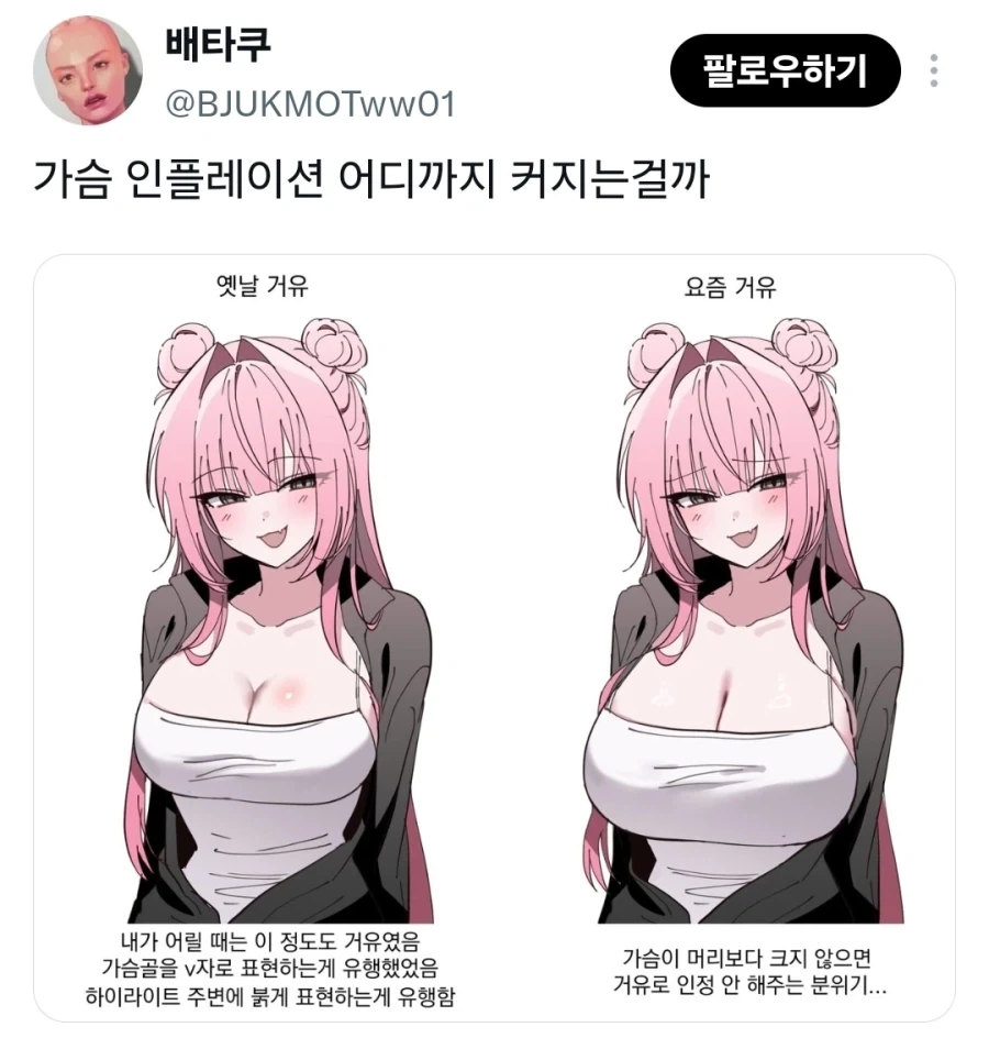 찌찌 인플레이션 짤_1.webp