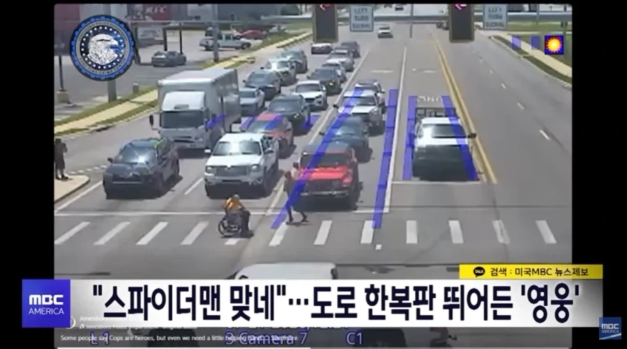 횡단보도에 나타난 친절한 이웃_1.webp