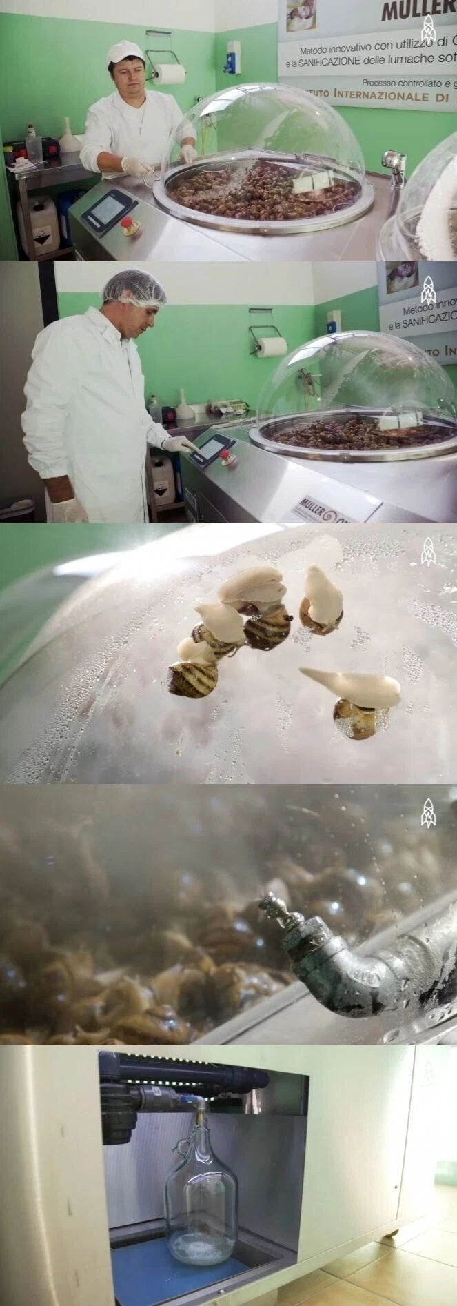 달팽이 크림의 비밀_4.webp