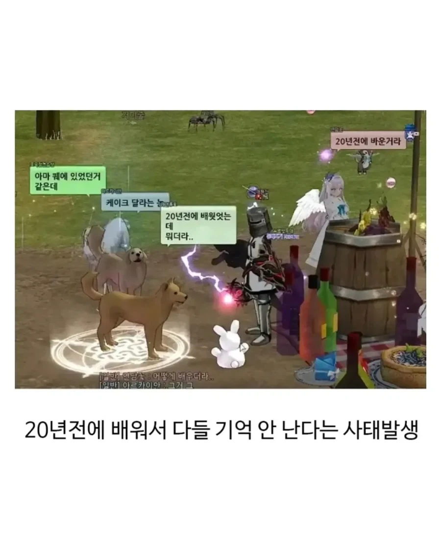 온라인 게임이 늙으면 생기는 일.jpg_4.webp