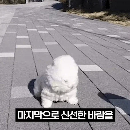 의외로 워해머 판타지에서 가장 착한 종족.jpg_33.webp