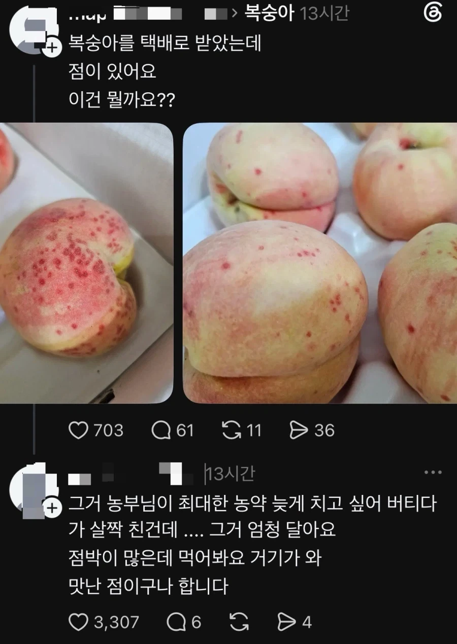 맛있는 복숭아 고르는 법_1.webp