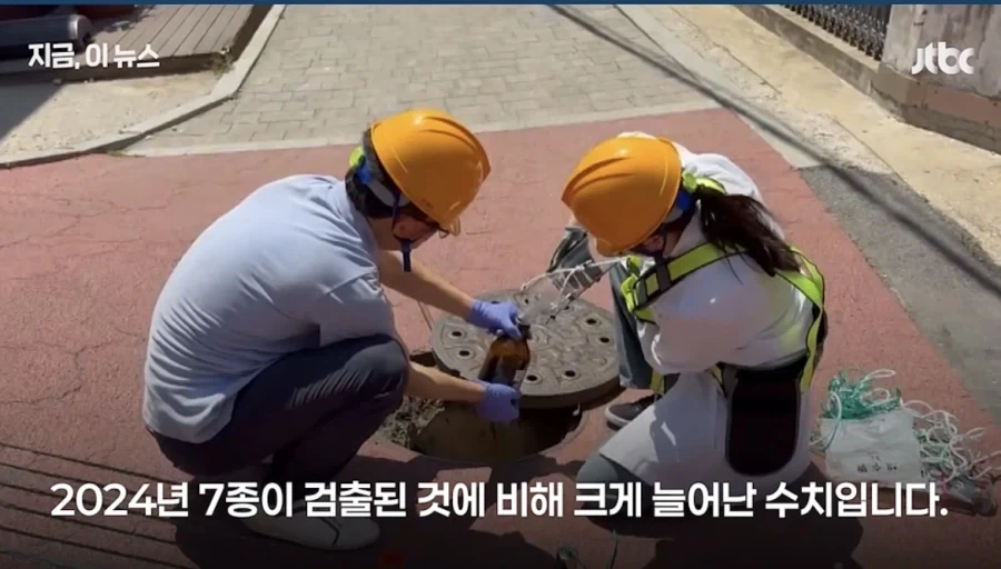 한국에서 합법으로 마얓하기_4.webp
