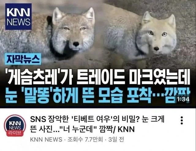 게슴츠레가 트레이드 마크였는데 눈