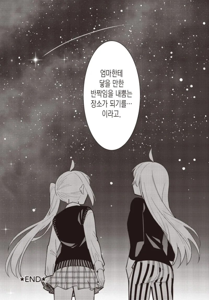 manga_2155828_037.webp
