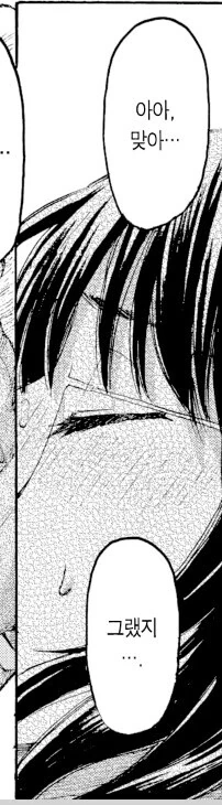 manga_2284743_011.webp