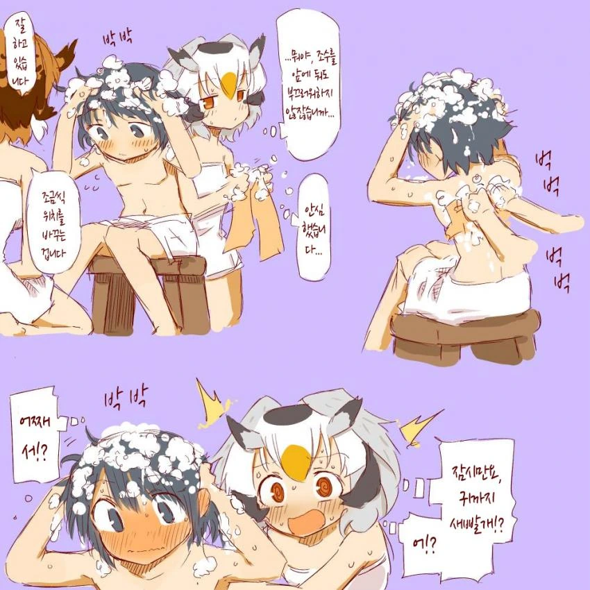 manga_2470105_013.webp