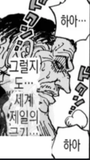 원피스 최신 가설을 보는 사람들의 반응_4.webp