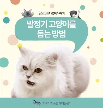 슬슬 고양이 관련글이 올라오는 시기_1.webp