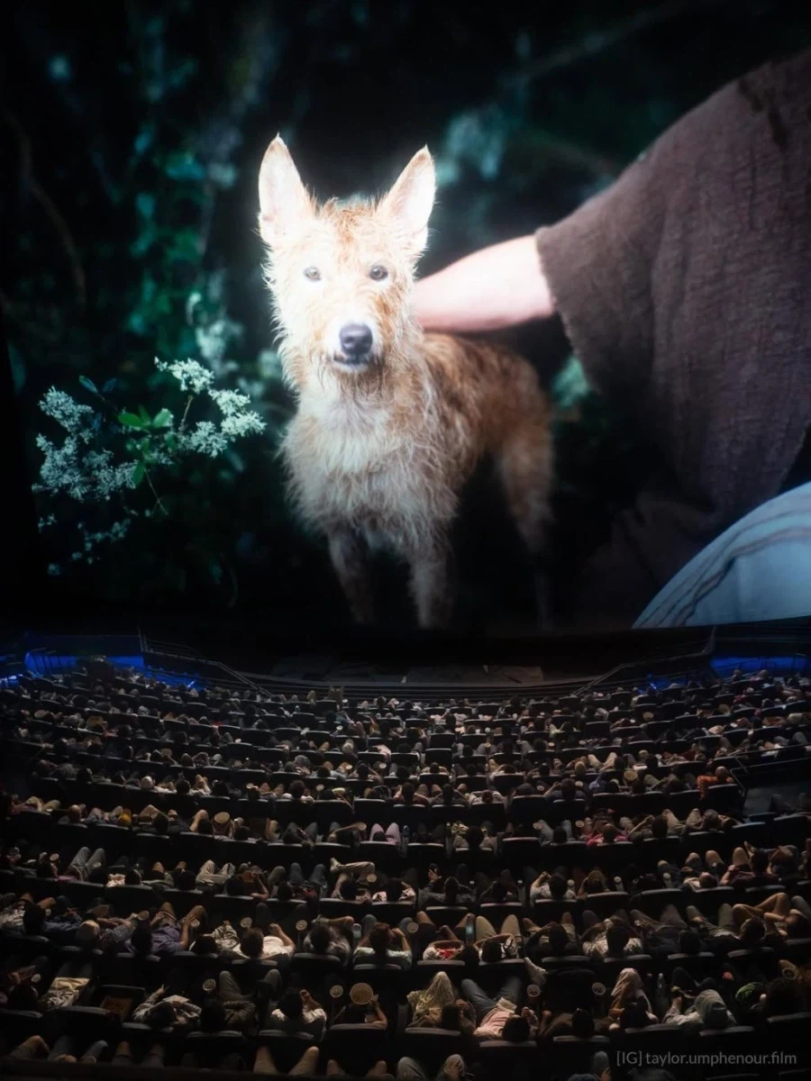 놀란 감독의 오디세이 imax 풀파워 화면짤들_10.webp