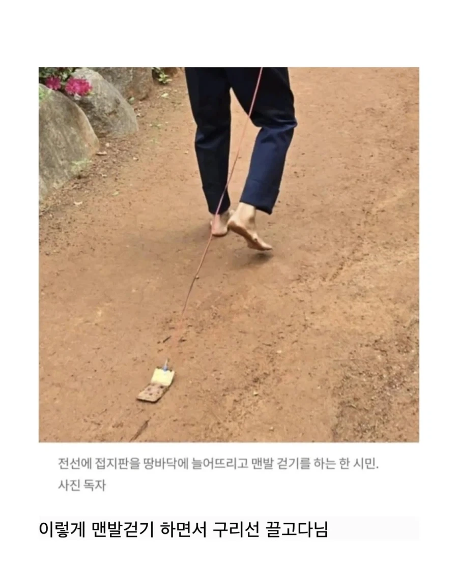 간호사들이 극혐한다는 유사과학 운동.jpg_7.webp