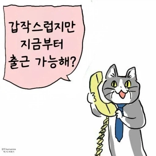 좋소 사장: 우리 회사는 연차 사용이 자유로워ㅎㅎ_1.webp