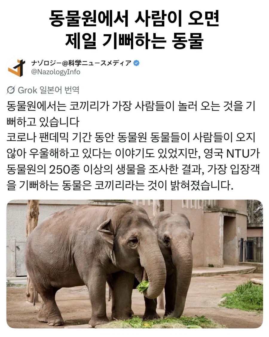 동물원에 사람이 오면 제일 기뻐하는 동물_1.webp