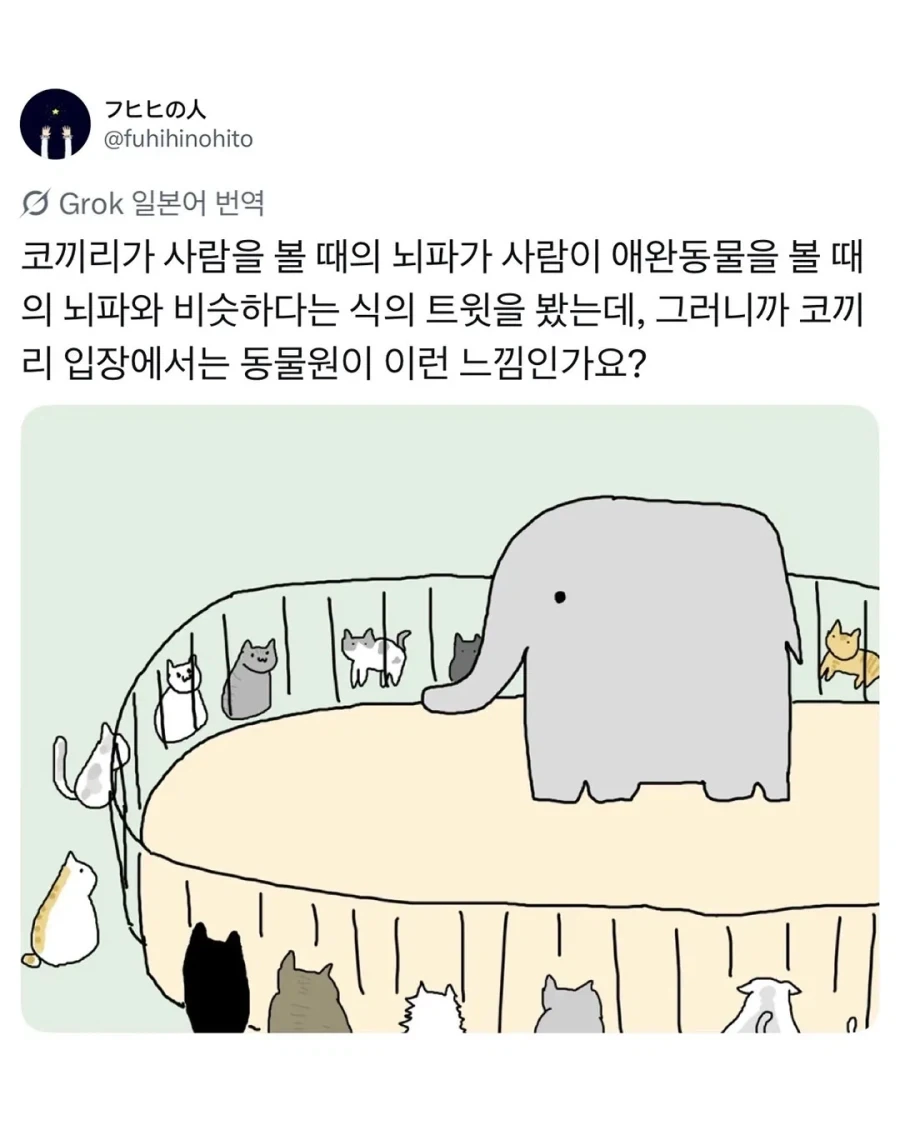 동물원에 사람이 오면 제일 기뻐하는 동물_2.webp
