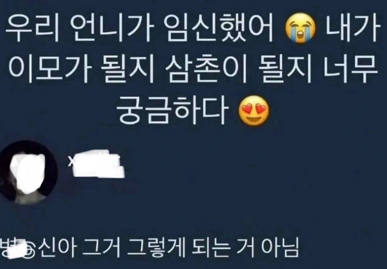 우리 언니가 임신을 했어.txt_1.webp