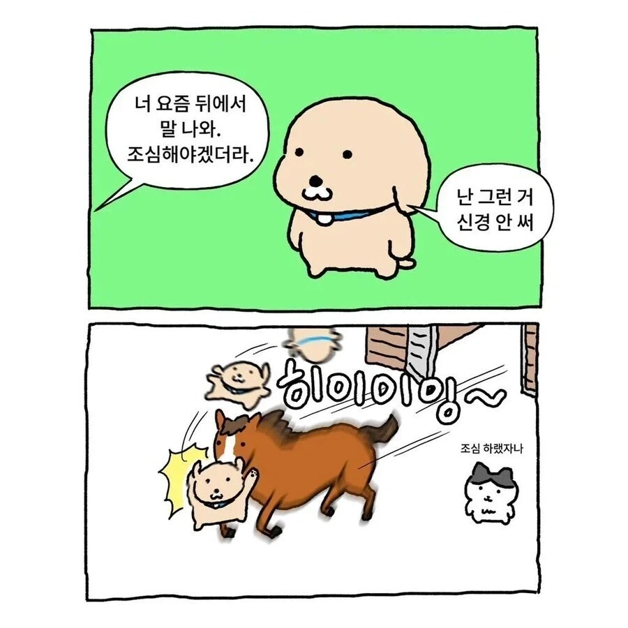 너 뒤에서 말나온다 조심해_1.webp