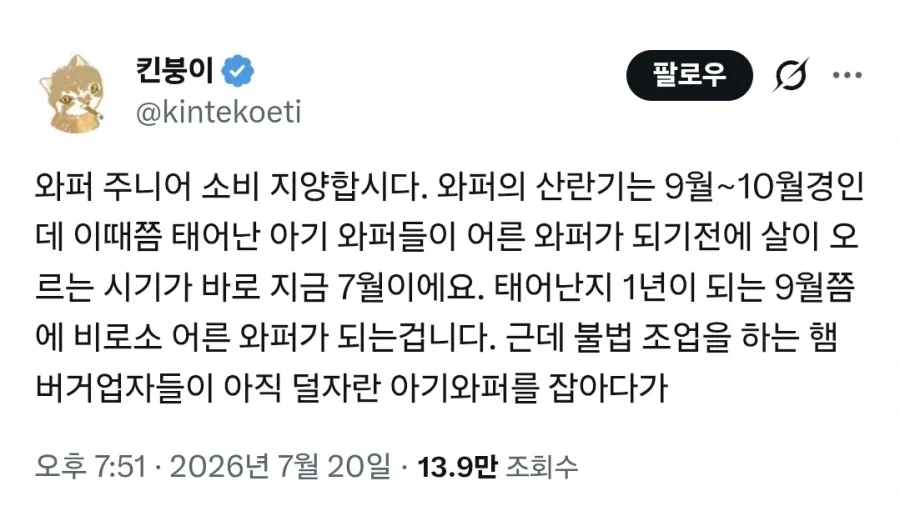 와퍼 주니어 소비 지양합시다. _1.webp