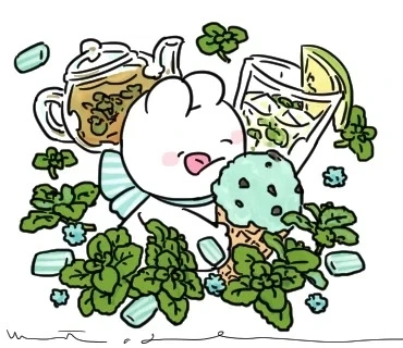 의외로 가짜뉴스가 아닌것_4.webp