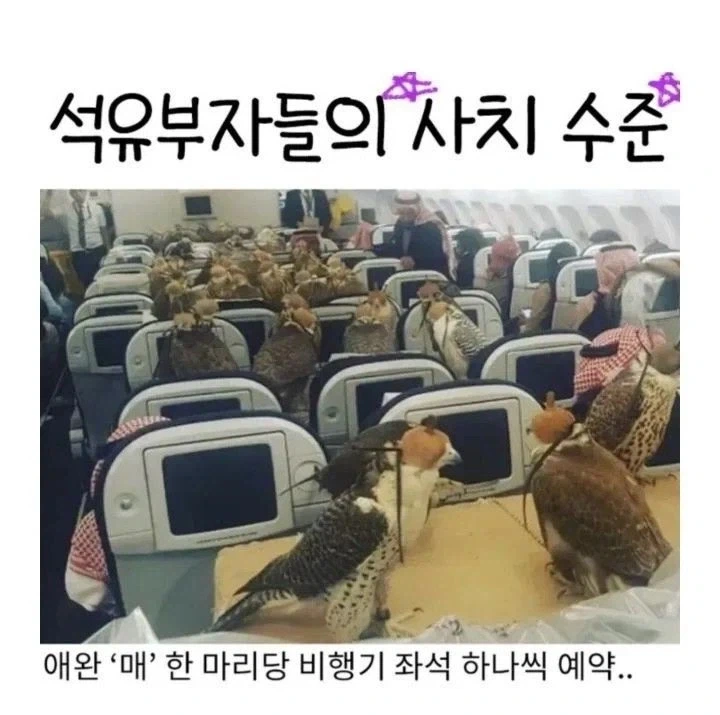 석유 부자들의 사치 수준.jpg_1.webp
