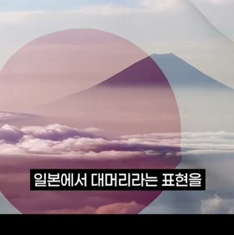 일본방송에서 이제 사용못한다는 단어.jpg_11.webp