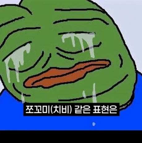 일본방송에서 이제 사용못한다는 단어.jpg_18.webp