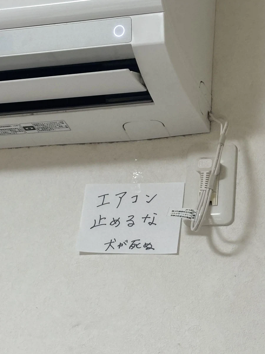 에어컨을 끄면 안 되는 이유.jpg_1.webp