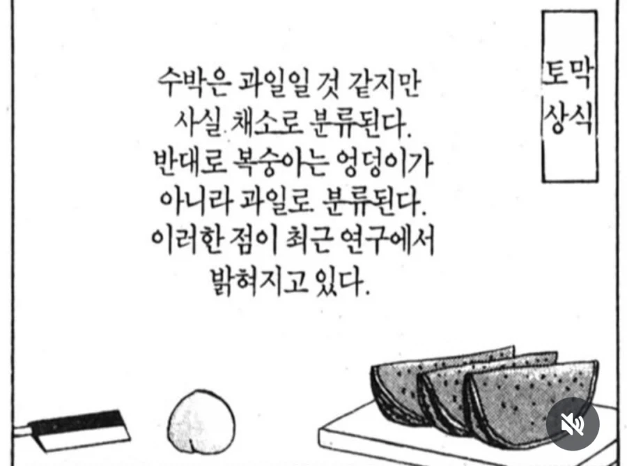 토막상식) 수박은 야채로 분류된다_1.webp