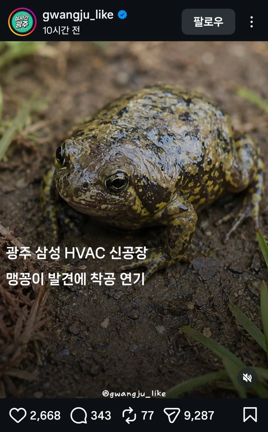 삼성 신규 공장 부지에 멸종위기 맹꽁이 발견_1.webp