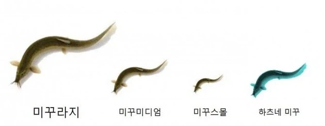 추어탕집 갈때 이건 미리 배워두고 가라_1.webp