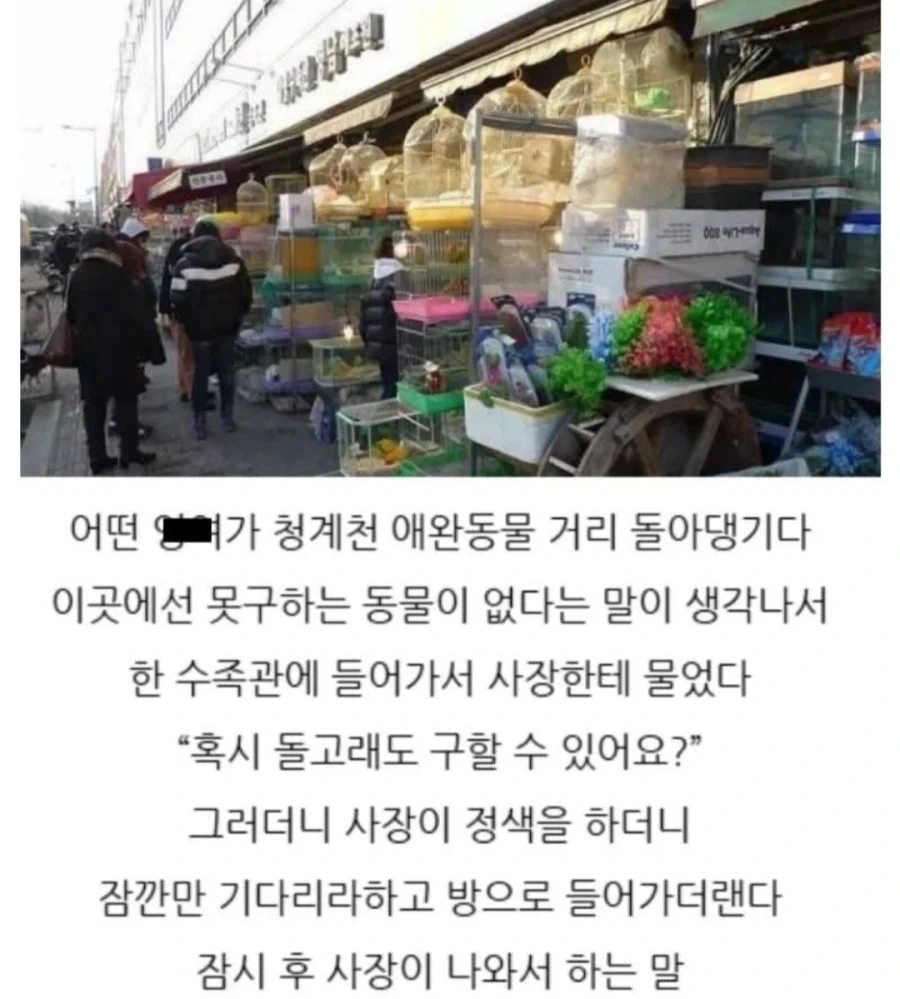 프리미엄)동물샵에서 돌고래를..._1.webp