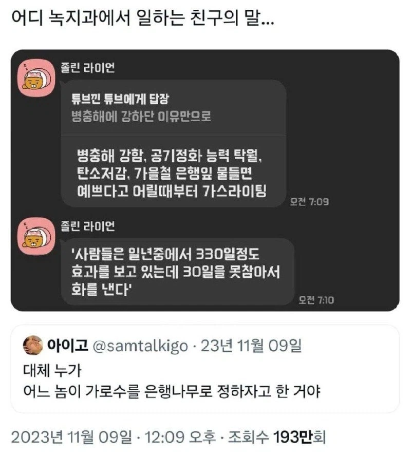 한국 왜이리 은행나무 많은거야_1.webp