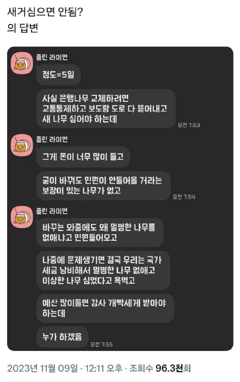 한국 왜이리 은행나무 많은거야_2.webp