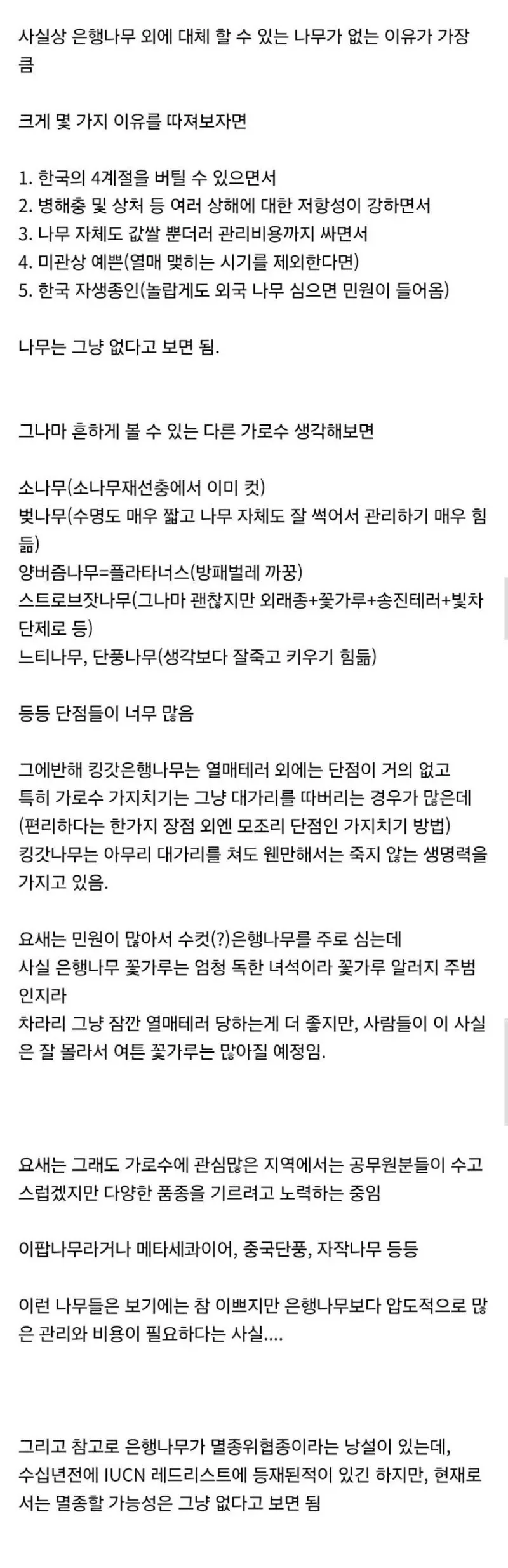 한국 왜이리 은행나무 많은거야_3.webp