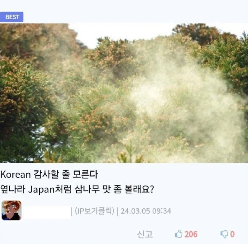 한국 왜이리 은행나무 많은거야_4.webp