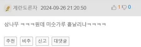 한국 왜이리 은행나무 많은거야_5.webp