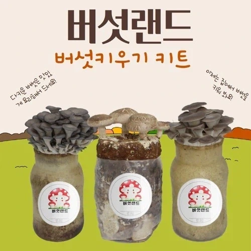 니들은 버섯재배 키트 함부로 사서 키우지마라._1.webp