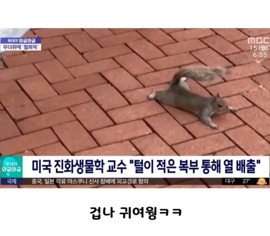 람쥐의 여름 버티기_1.webp
