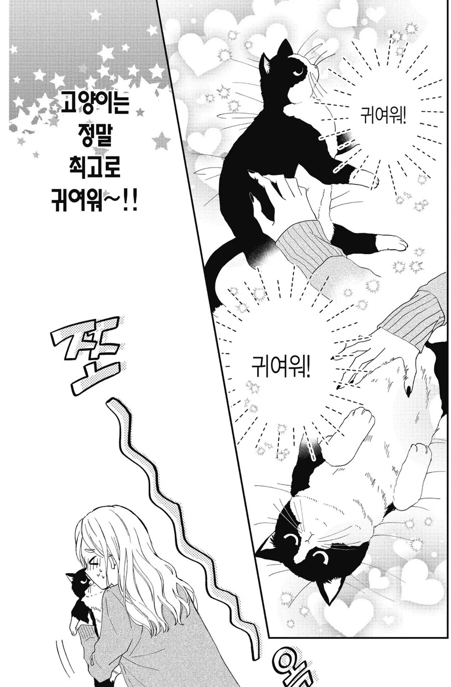 manga_2045309_004.webp
