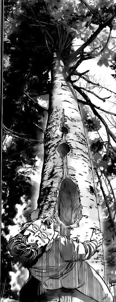 manga_909457_001.webp
